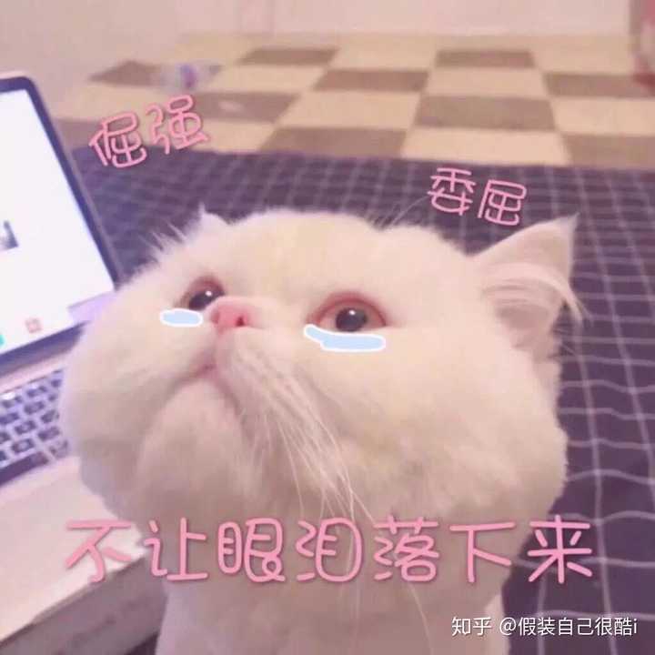 我妈就很认真的看着我,看了有一会儿了, 然后问我, "你的头怎么这么