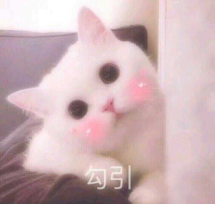 有什么适用于和老公/男票撒娇的可爱表情包?
