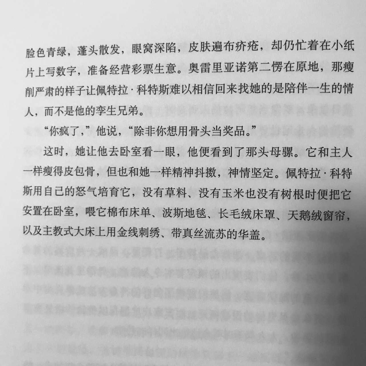 《百年孤独》这一片段中 佩特拉·科特斯的行为怎么理解?