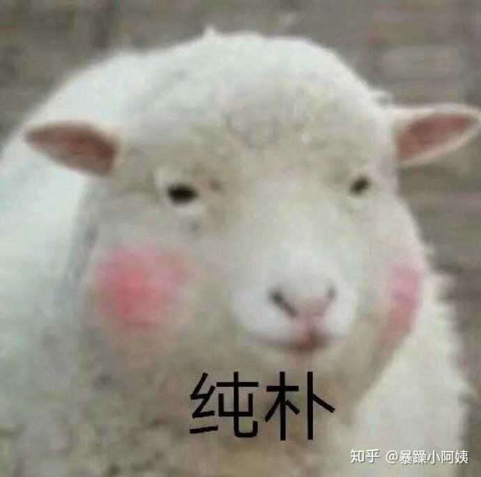 你用过的最沙雕的表情包是什么?