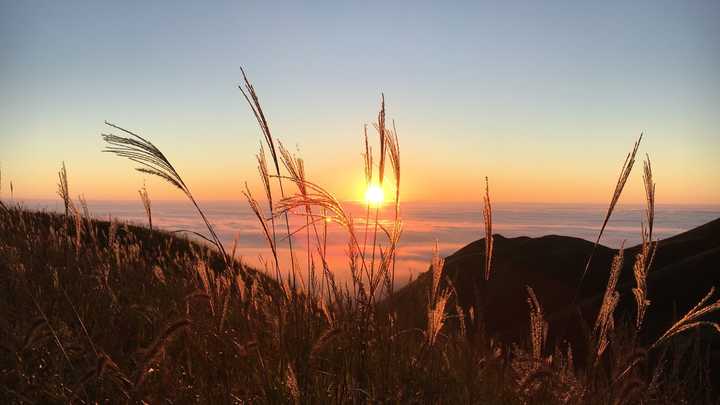 1,2017年10月初坐火车去武功山看日出,晨光铺满茫茫云海,幸甚至哉!