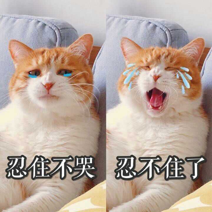 为什么有人说喜欢发猫表情包的男生是渣男?
