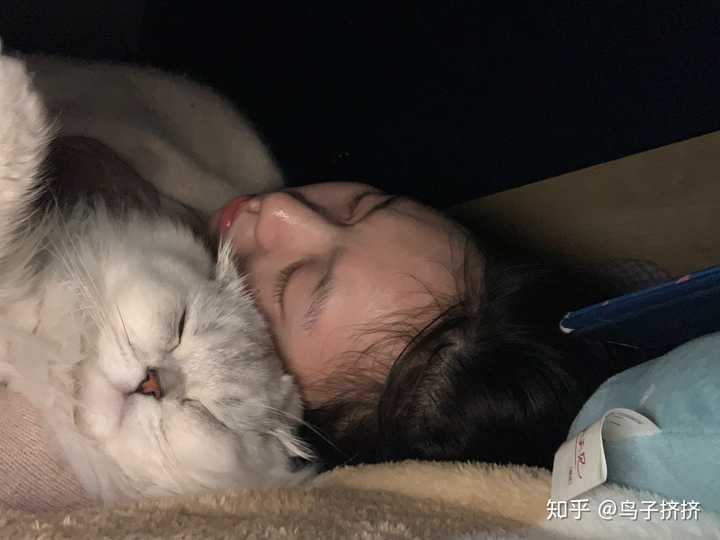 你们和猫咪一起睡能睡着吗?