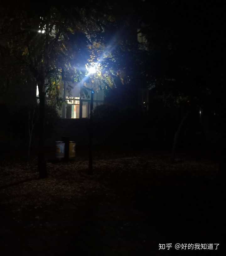 上晚自习出来看见树下的路灯