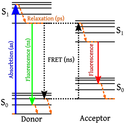 resonance energy transfer,fret,翻译为荧光共振能量转移