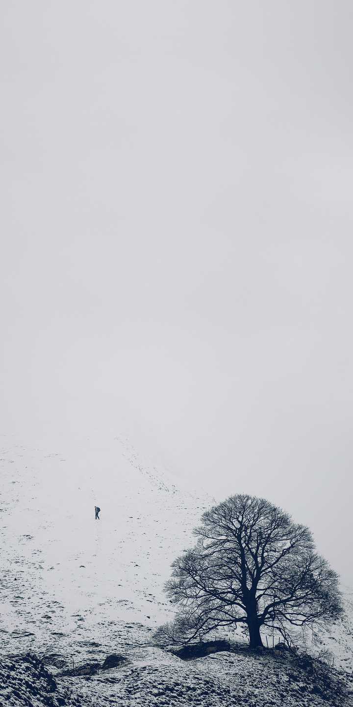 有没有超清的全面屏手机壁纸关于雪景的?