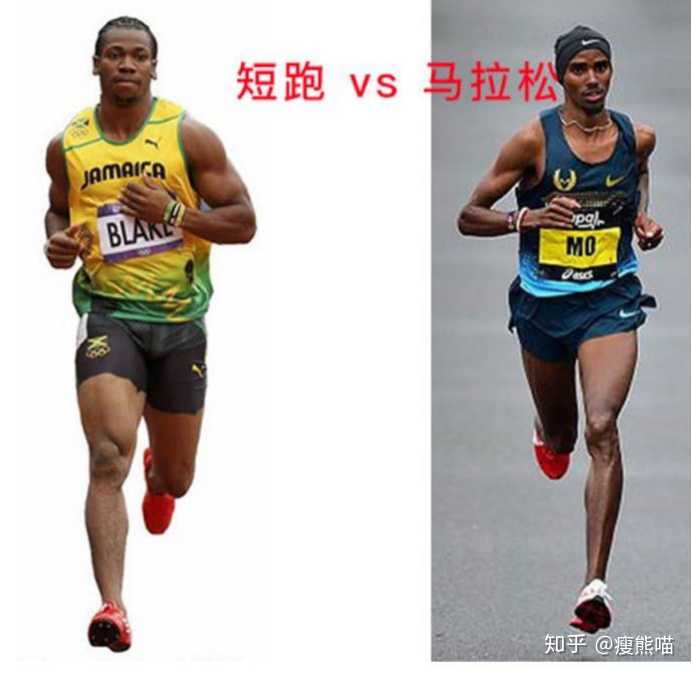 短跑运动员vs长跑运动员