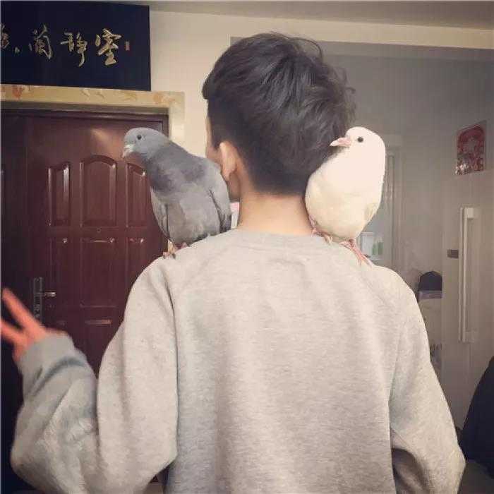 有哪些适合男生用的超级酷的微信头像?