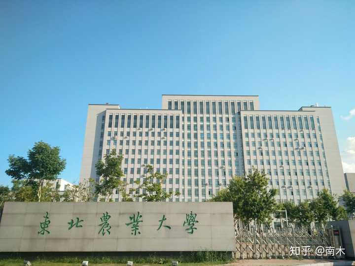 在东北农业大学就读是什么体验?