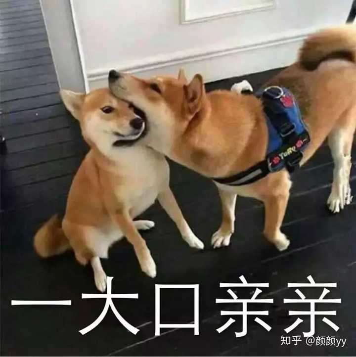 有哪些适合发给妈妈表达爱的表情包?