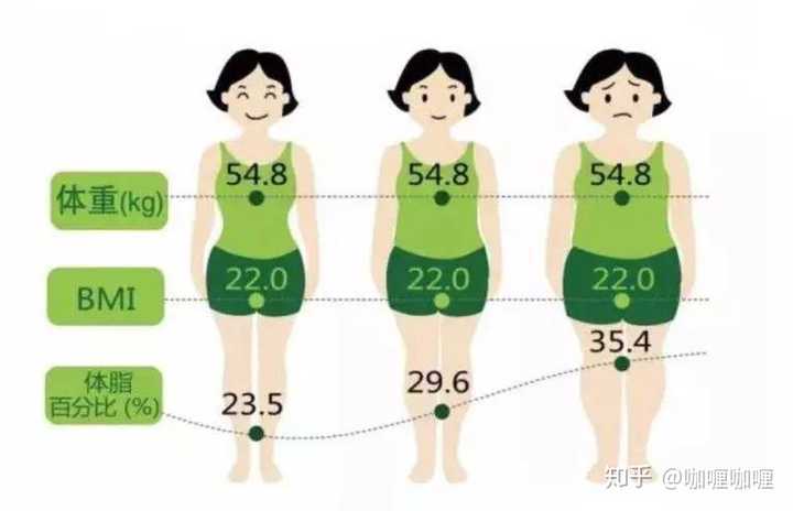 买个体脂称就能解决啦