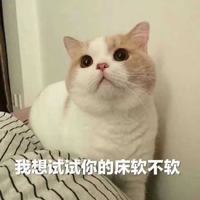 你们撩对象都用什么表情包啊～?
