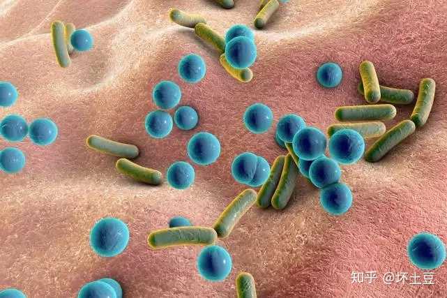 人类医学史上最重要的十大医学发现或发明是什么