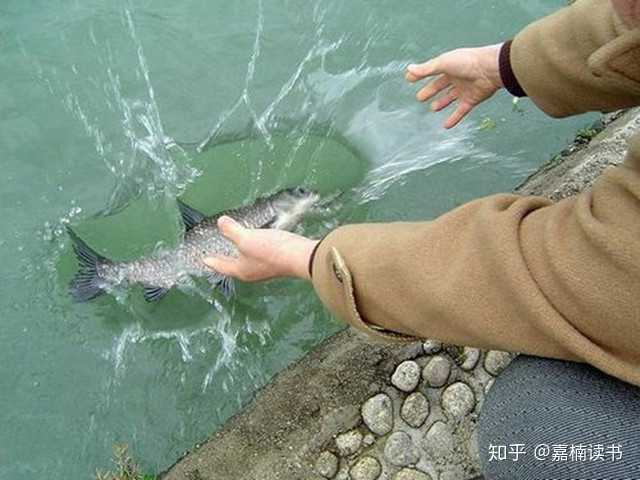 放生时候念啥?一般放生什么?