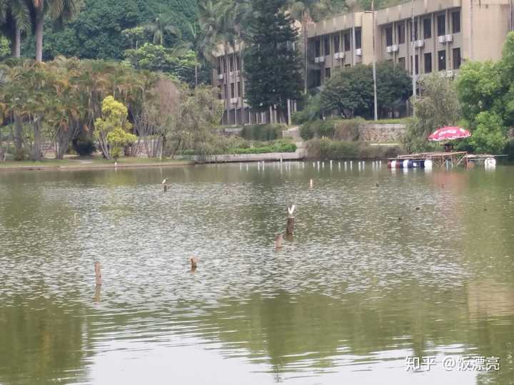 想知道深圳大学后海校区的环境