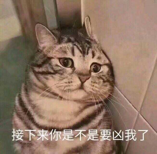 我没猫,如果有猫绝对不会存这么多别人家的猫 还有很多就不发了