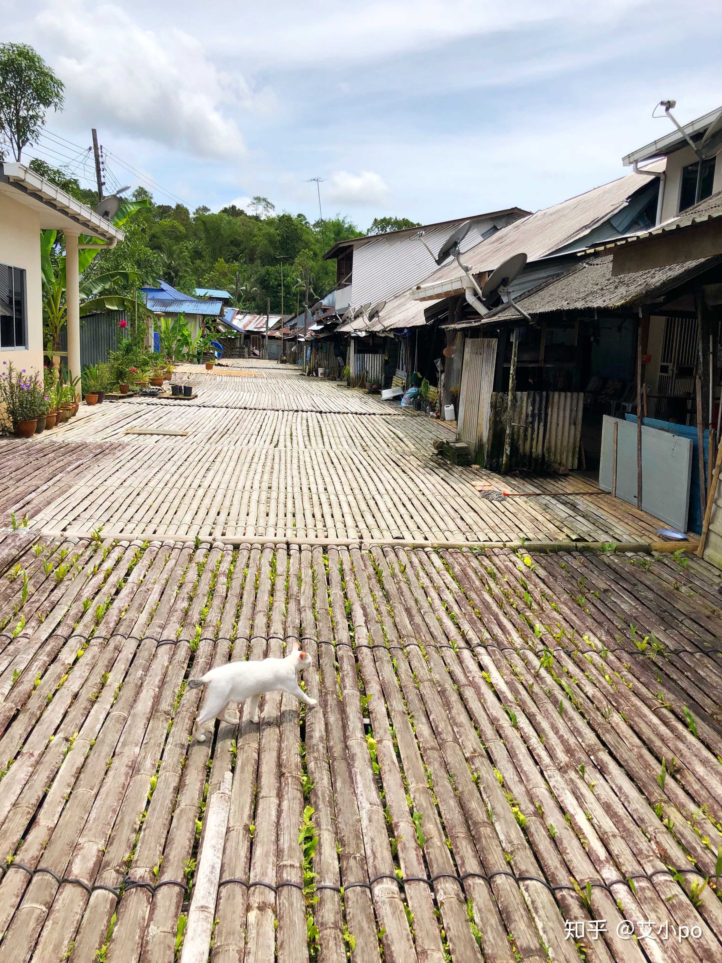 现在的长屋里,虽然外观还保持原来的样貌,家电早已现代化.