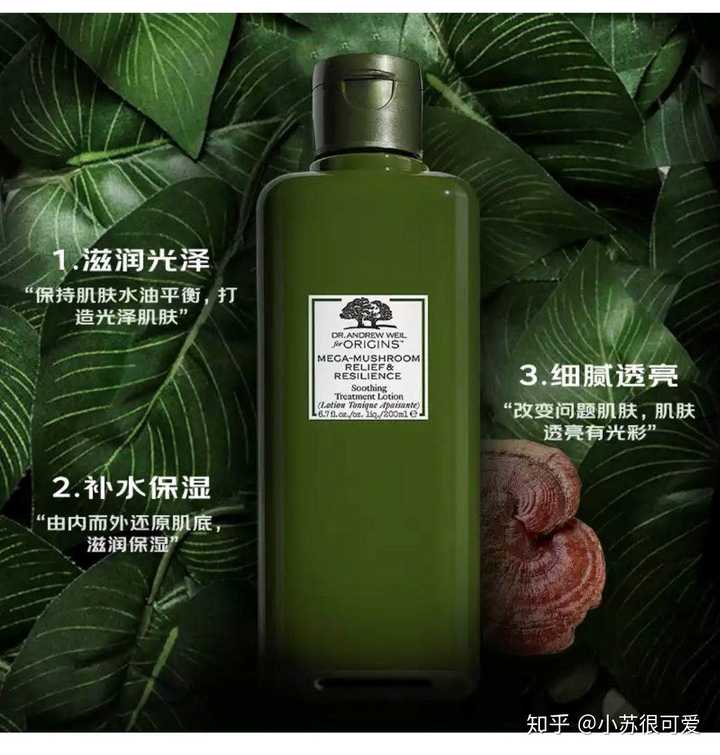 悦木之源菌菇水