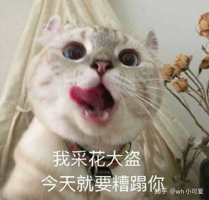 你见过最污的表情包是什么?