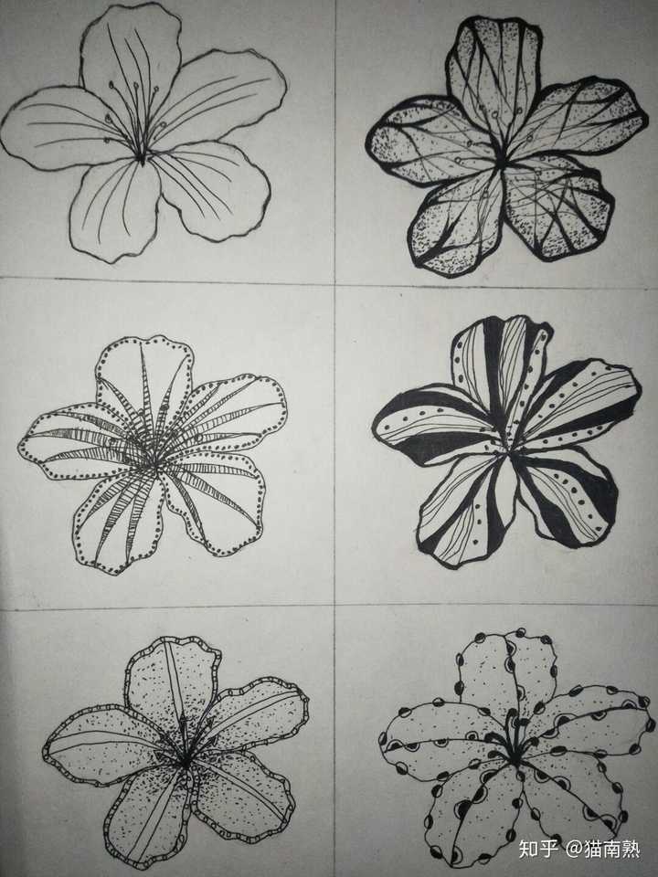 花卉图案如何变形?