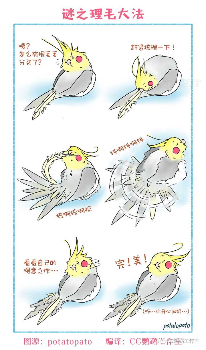 怎么从玄凤鹦鹉的表现了解他们的心情呢?