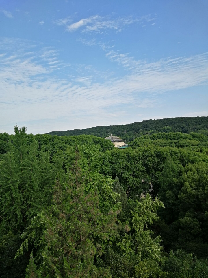 珞珈山与老工学院