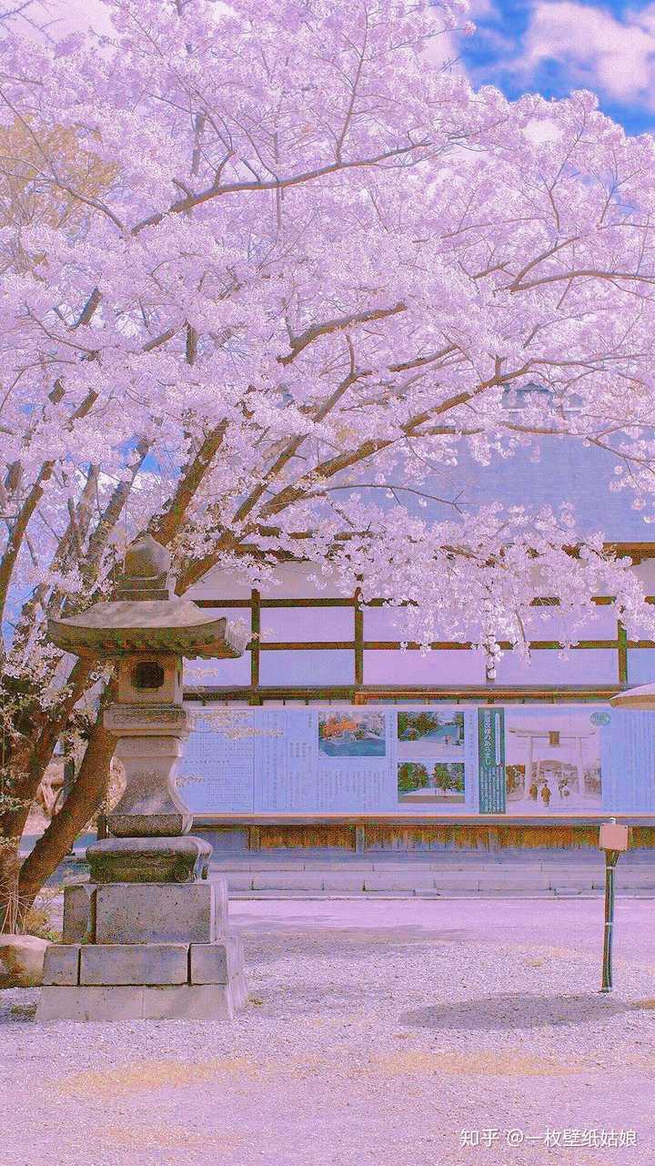 有没有高清微信背景图,粉色日系樱花类的?