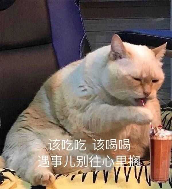 所以朋友们千万不要等饿了才吃,饮食一定要有个好习惯,狗命要紧