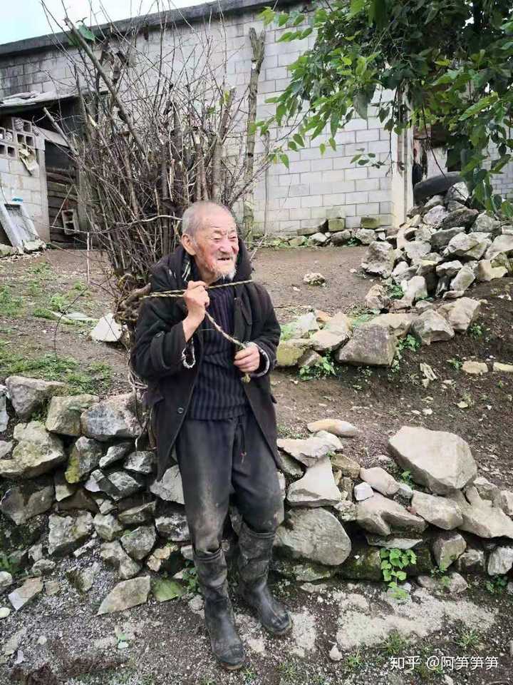 90多岁的老人背着柴禾