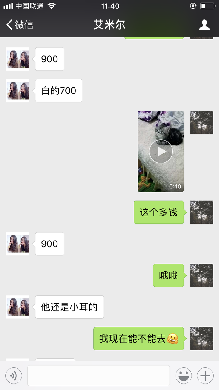 买猫回家一宿后,卖猫的让我加钱,有微信截图?