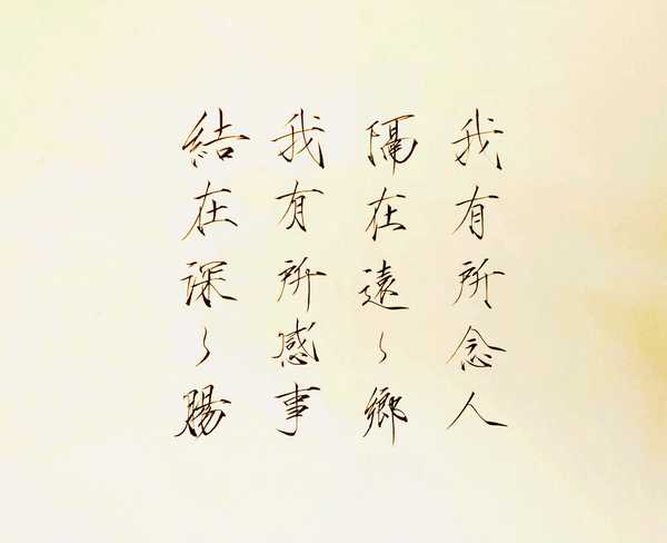 杨永志#每日练字 我有所念人,隔在远远乡 我有所感事,结在深深肠