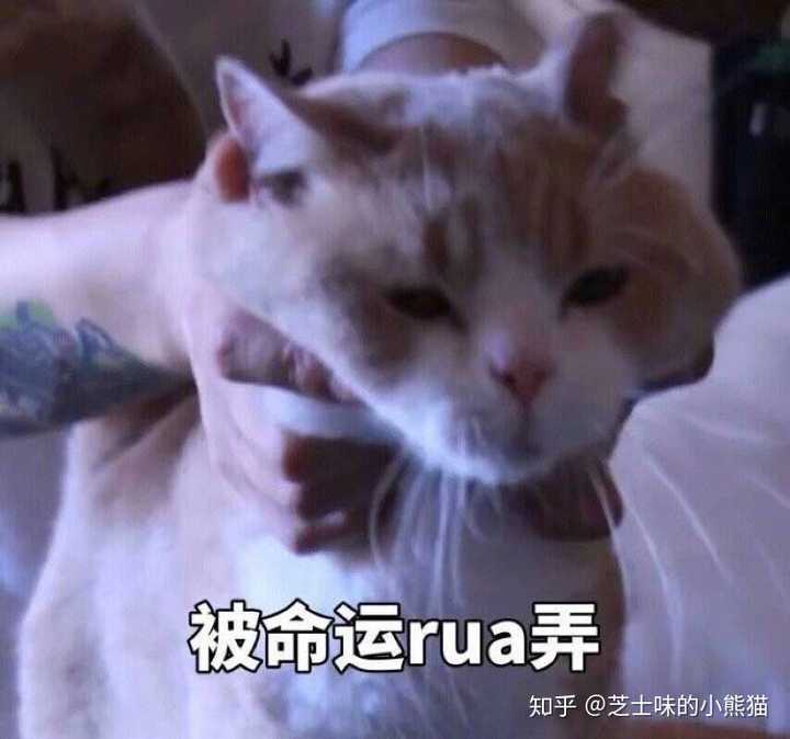 有没有什么让全场震惊的沙雕表情包?