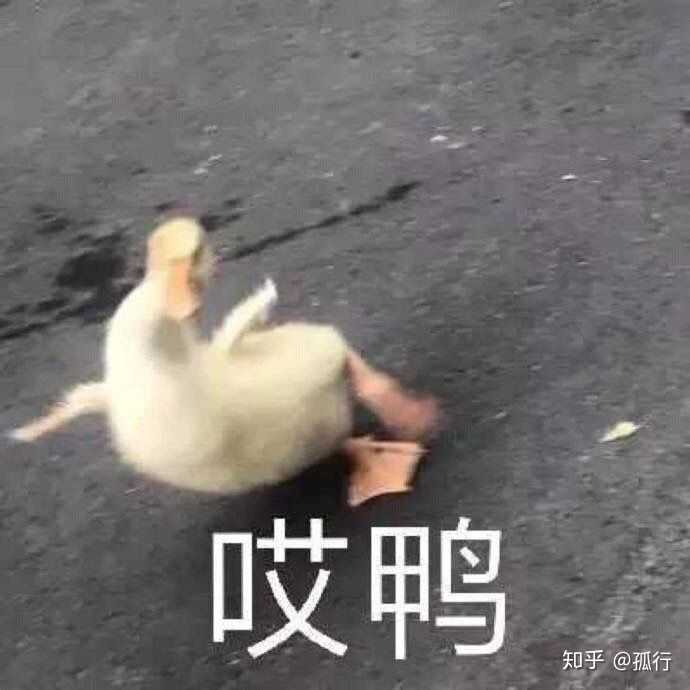 你都存了哪些沙雕表情包?