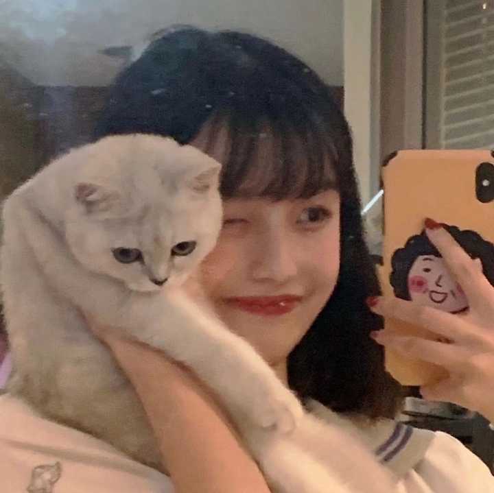 有哪些好看的适合女生的微信头像?
