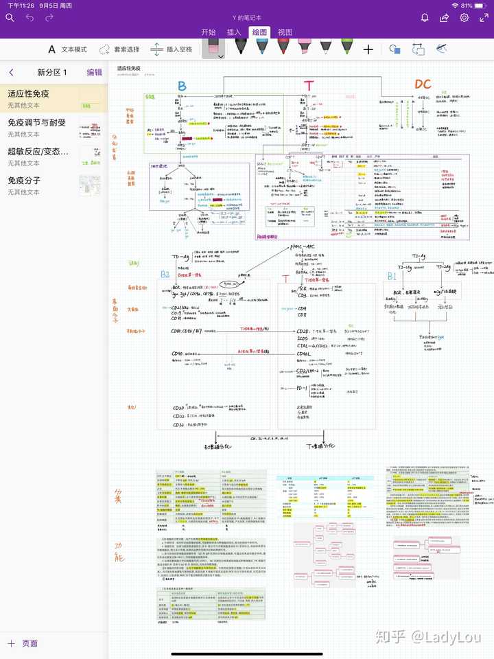 onenote 做出来的笔记颜值能有多高?