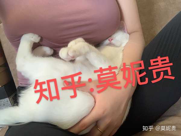 发布 08-02 令猫窒息 3 回复 踩 举报 08-02 这咪咪头好大[爱] 赞