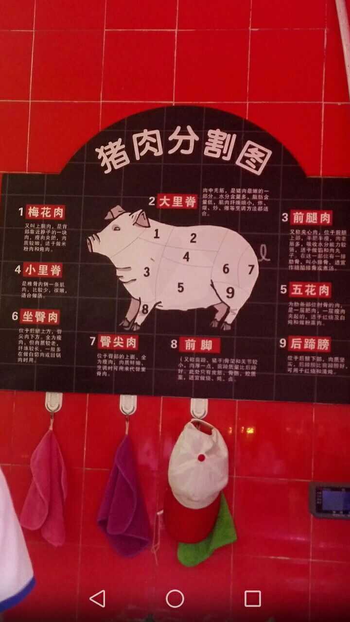 猪哪个部位的肉最好吃?