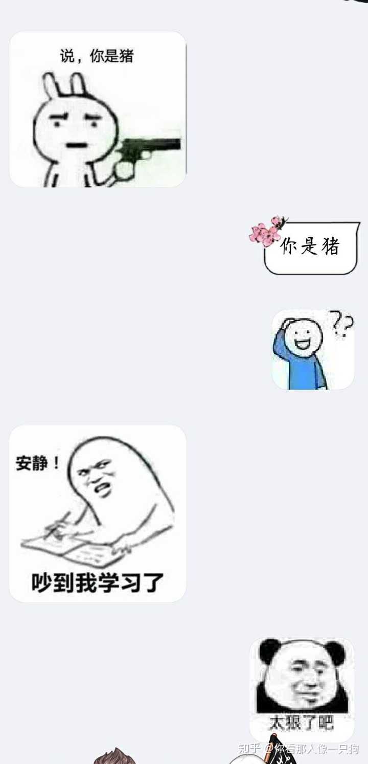 你都存了哪些沙雕表情包?