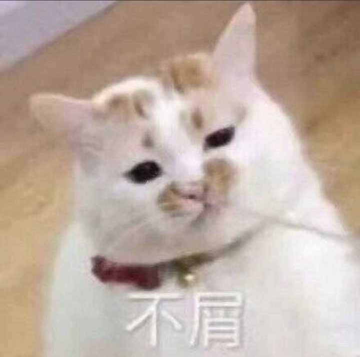 表达不满或者疑惑