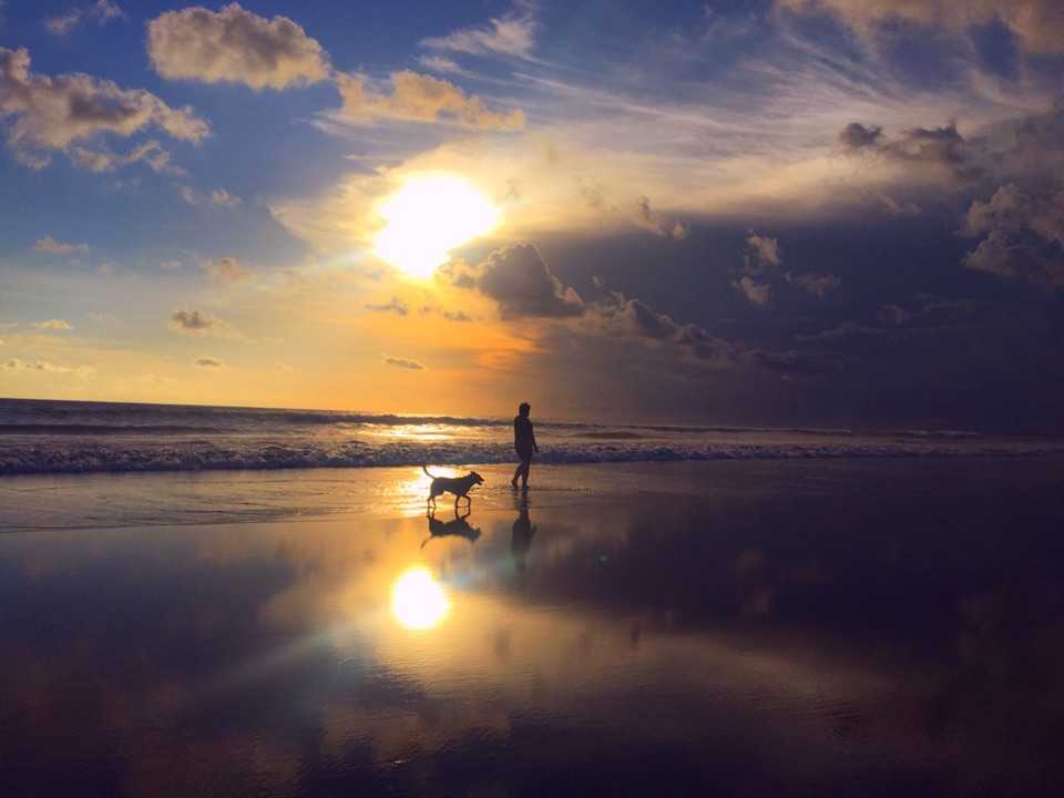 巴厘岛的水明漾海滩 一人一狗