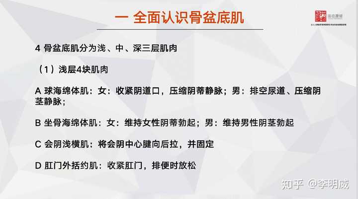 盆底肌锻炼真的能提高性生活质量吗?