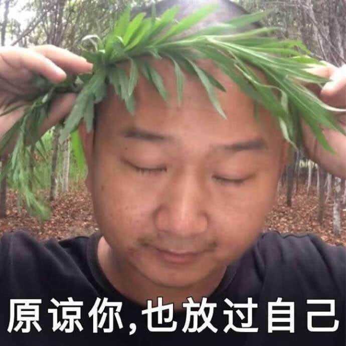 有什么万能表情包可以避免尬聊?