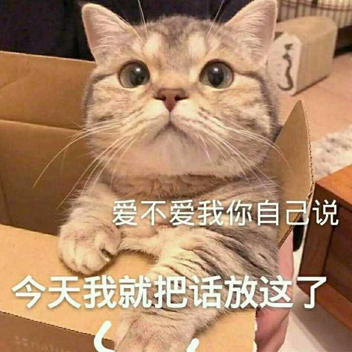 撩男朋友的表情包有哪些呀?