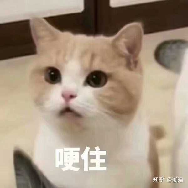 奶凶凶