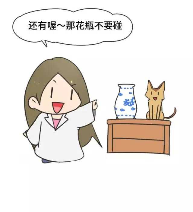 人类从什么时候开始驯养猫 知乎