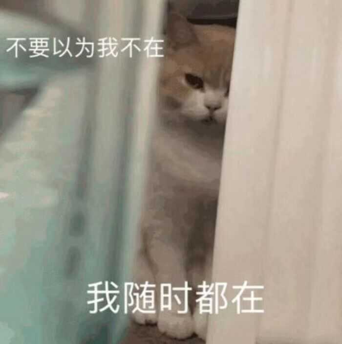 抓住重点,重在沙雕二字       哈哈哈哈哈  小朋友,你是否有很多问号