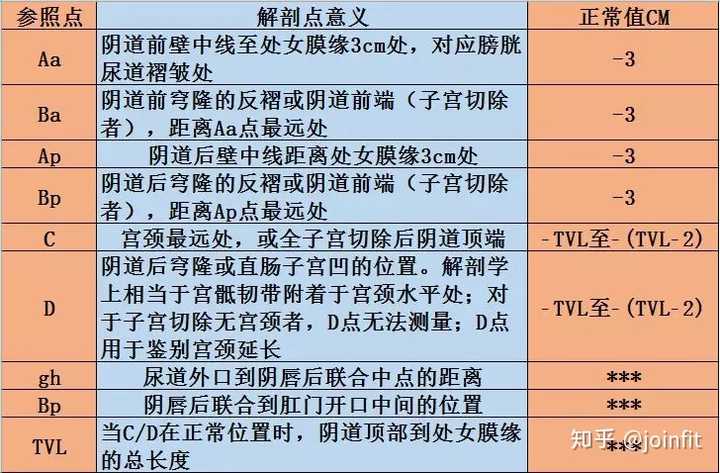 pop评分时,类似盆腔彩超,都把盆腔划分为3个区域: · 前盆腔:阴道前