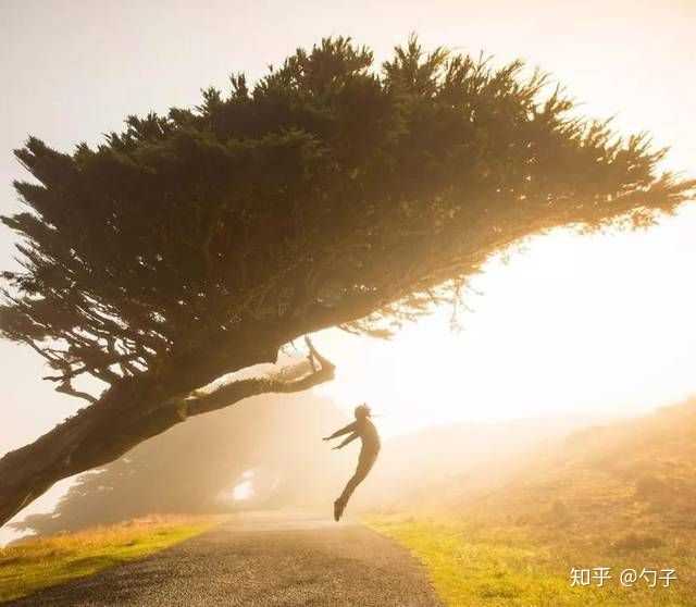 读完《你当像鸟飞往你的山》,有什么感想?