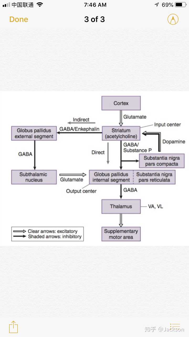 caudate nucleus是大脑调控运动的两个通路里striatum的一部分.