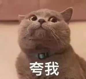 哪些表情包可以用来撩妹?
